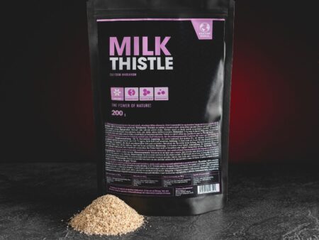 Ostropestřec mariánský je starodávná bylina pomáhající s moderními neduhy